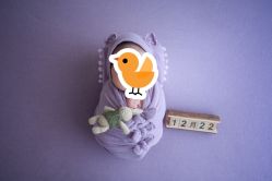 -玛瑞莎·儿童·亲子摄影(越秀店)