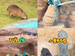 -福州罗源湾海洋世界旅游区