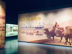 -包头博物馆