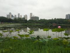 -映月湖公园