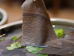 水牛肚毛肚-渝大龙重庆火锅(温泉月亮湾店)