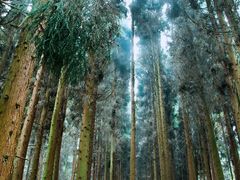 -山王坪喀斯特国家生态公园