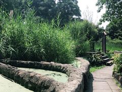 -成都市活水公园