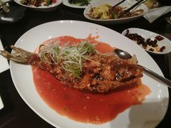 罾蹦鲤鱼-海天楼(天津泛太平洋店)