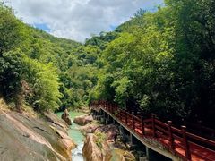 -广州白江湖森林公园