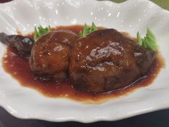 -丁老爷子苏香圆
