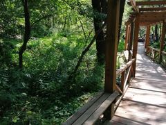 -大岭沟猕猴桃谷风景区
