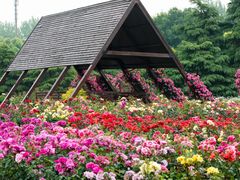 -上海滨江森林公园