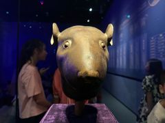 -广西壮族自治区博物馆