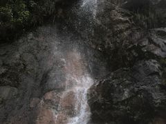 -广州市流溪河国家森林公园