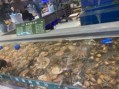 水产区-圣罗巴海鲜自助(黑金店)