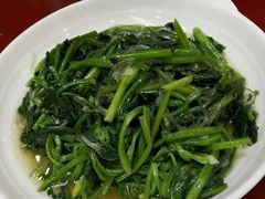 -鸢飞潍坊菜馆(鸢飞大酒店)
