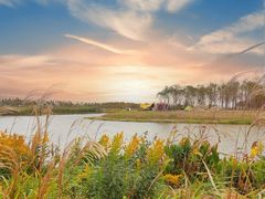 -春花秋色城市公园