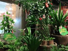 -老客家·客家菜(万达店)