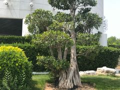 -天津水晶宫饭店