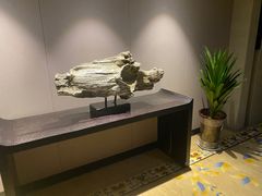 -成都峨眉雪芽大酒店