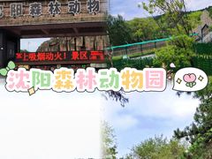 -沈阳森林动物园