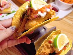 -Famous肥猫墨西哥音乐餐吧(五棵松华熙LIVE店)