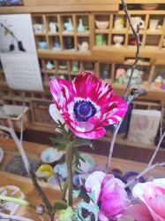 -今日陶艺(富力广场店)