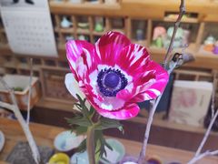 -今日陶艺(富力广场店)