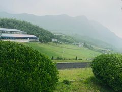 -江南天池高山汤泉城