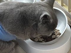 -美联众合动物医院·24h转诊中心
