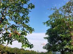 -顺峰山公园
