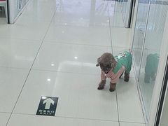 -全心全意连锁动物医院·微创中心·内科急重症·心脏专科(丰管路店)