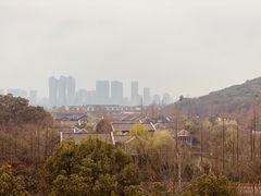 -西湖风景区-江洋畈生态公园