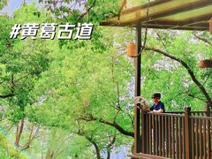 -黄葛古道