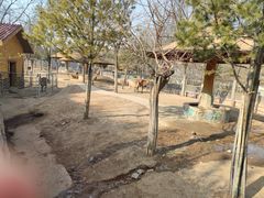 -石家庄市动物园