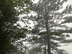 -萍乡武功山风景名胜区