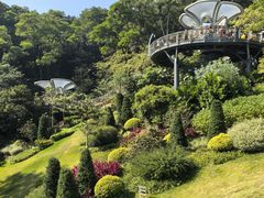 -云溪植物园