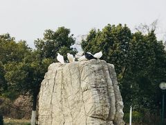 -南京市江宁方山