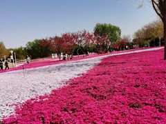 -石家庄市植物园