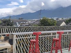 -喵屿·大理花园猫咖