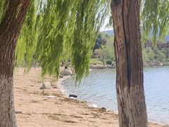 -济南国际园博园