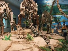 -自贡恐龙博物馆