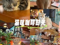 -咖法森林·咖啡  酒吧(天河店)