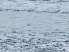 -西涌国际滨海旅游区