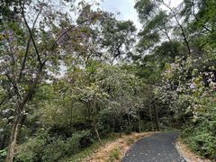 -广州市白云山风景名胜区