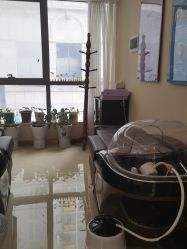 -碧莲盛·不剃发植发