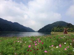 -广州市石门国家森林公园