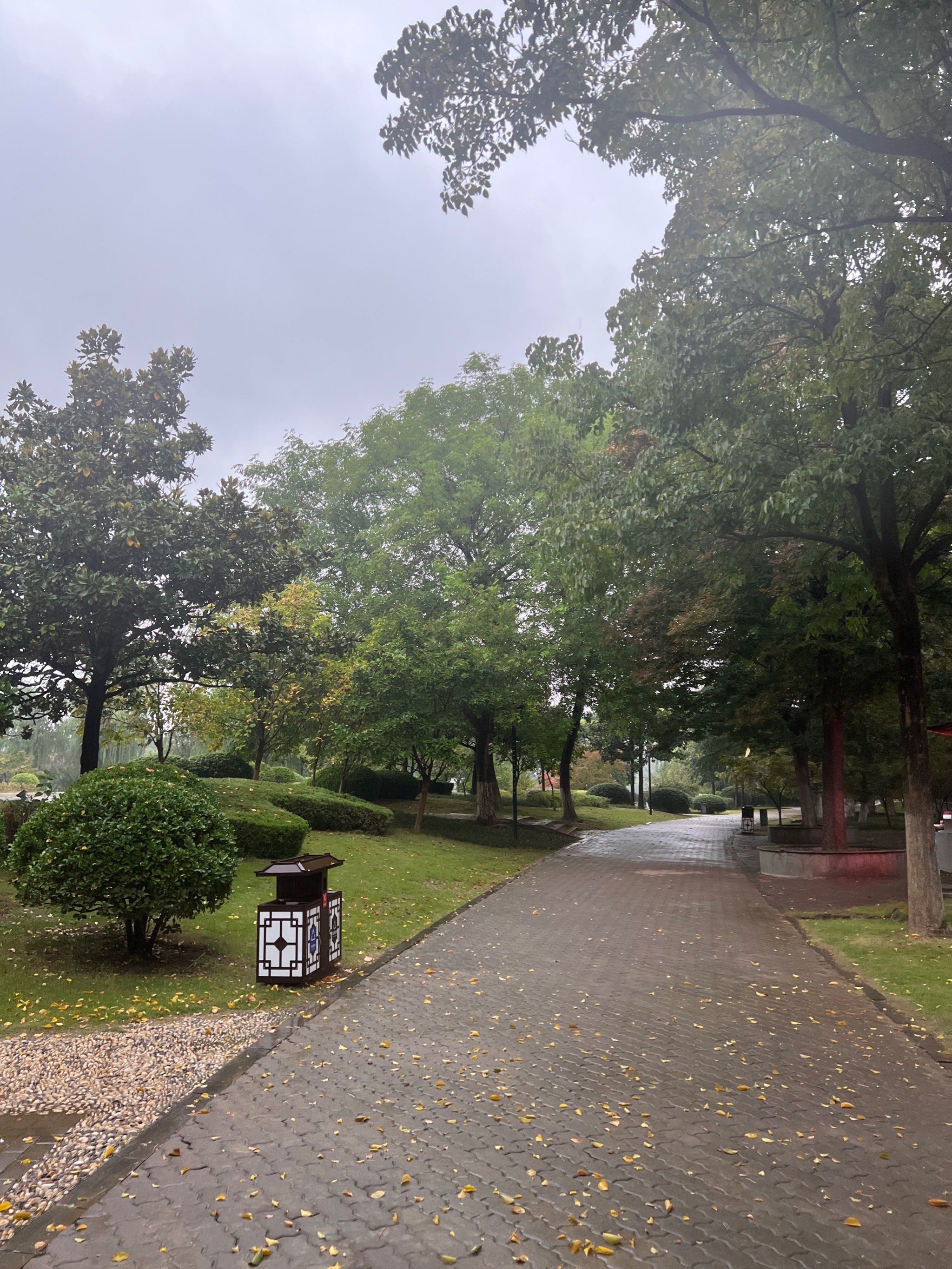 雨晴龙湖图片