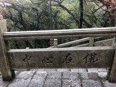-普陀山风景区-佛顶山