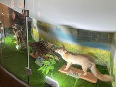 -下渚湖国家湿地公园科普馆