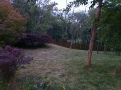 android_upload_pic-南京汤山紫清湖生态旅游温泉度假区