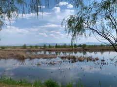 -野鸭湖国家湿地公园