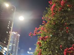 -观音桥步行街