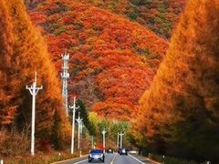 -少华山国家森林公园